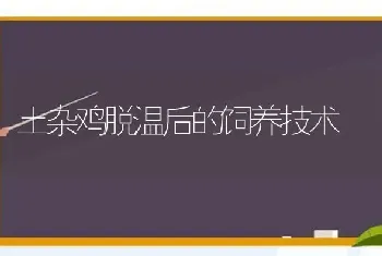 农村养牛常见病：不吃食了