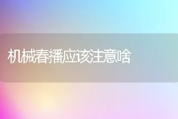 机械春播应该注意啥