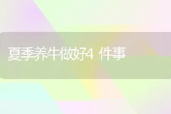 夏季养牛做好4件事