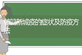 鹌鹑新城疫的症状及防疫方法