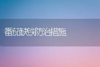 番茄缺铁防治措施