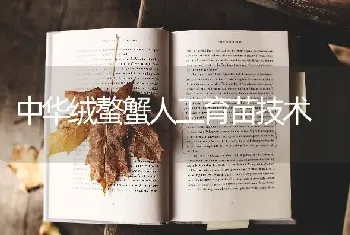 中华绒螯蟹人工育苗技术