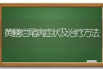 黄鳝烂尾病症状及治疗方法