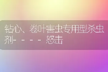 钻心、卷叶害虫专用型杀虫剂----怒击