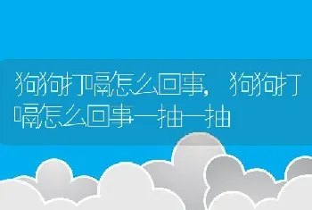 狗狗打嗝怎么回事,狗狗打嗝怎么回事一抽一抽