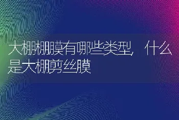 大棚棚膜有哪些类型