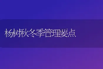 杨树秋冬季管理要点