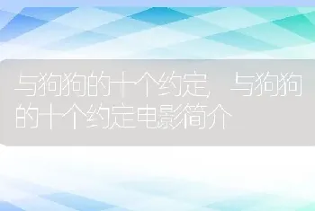 与狗狗的十个约定