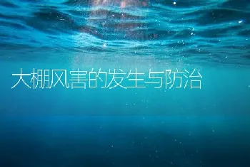 大棚风害的发生与防治