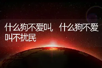 什么狗不爱叫