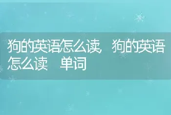 狗的英语怎么读,狗的英语怎么读 单词