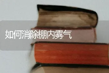 如何消除棚内雾气