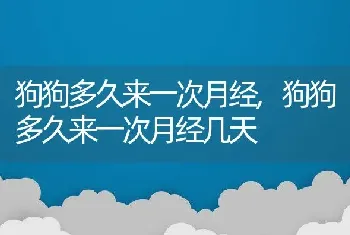 狗狗多久来一次月经