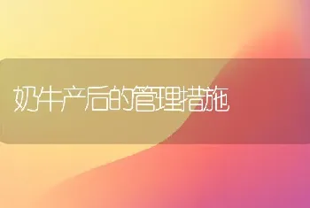 奶牛产后的管理措施