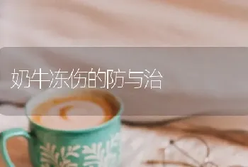 奶牛冻伤的防与治