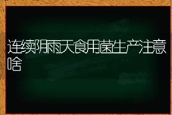 连续阴雨天食用菌生产注意啥