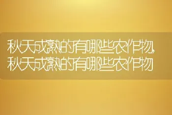 秋天成熟的有哪些农作物