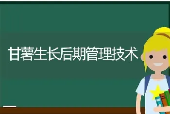 甘薯生长后期管理技术