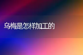 乌梅是怎样加工的