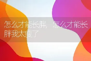 怎么才能长胖,怎么才能长胖我太瘦了