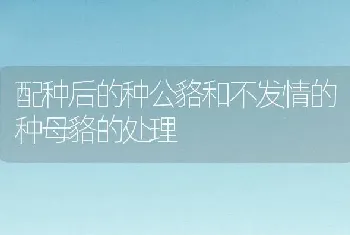 配种后的种公貉和不发情的种母貉的处理