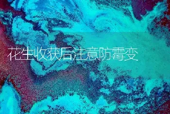 花生收获后注意防霉变