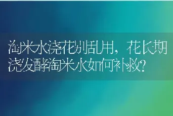 花生枯怎样发酵做肥料