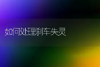 如何处理刹车失灵