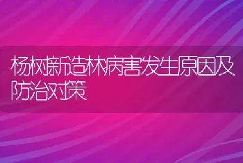 杨树新造林病害发生原因及防治对策