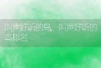 叫声好听的鸟,叫声好听的鸟排名