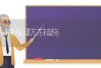 柑橘园防冻措施