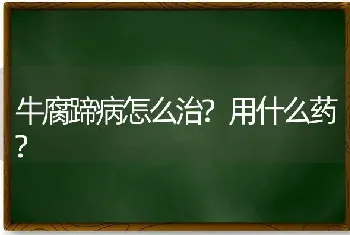 牛腐蹄病怎么治?用什么药?