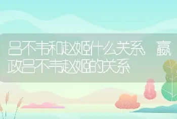 吕不韦和赵姬什么关系