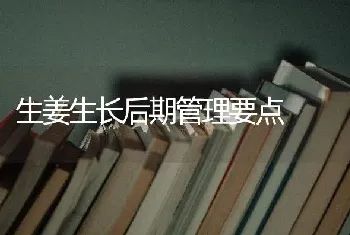 生姜生长后期管理要点