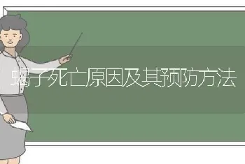 蝎子死亡原因及其预防方法