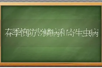 春季慎防竖鳞病和寄生虫病