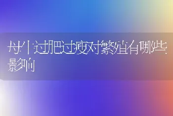 母牛过肥过瘦对繁殖有哪些影响