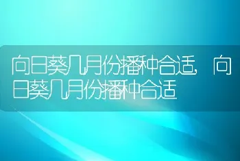 向日葵几月份播种合适