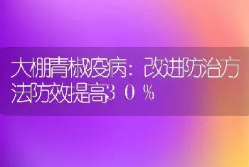 大棚青椒疫病：改进防治方法防效提高30%