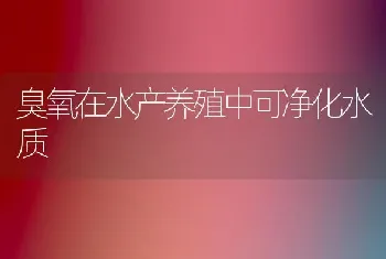 臭氧在水产养殖中可净化水质