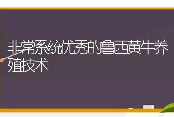 非常系统优秀的鲁西黄牛养殖技术