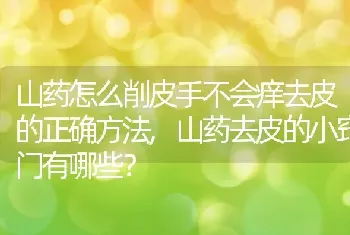 山药怎么削皮手不会痒去皮的正确方法