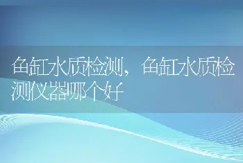 鱼缸水质检测