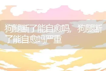 狗腿断了能自愈吗