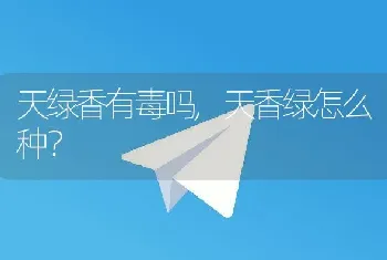 天绿香有毒吗