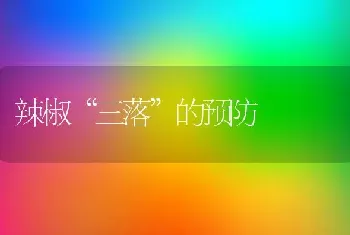 辣椒“三落”的预防