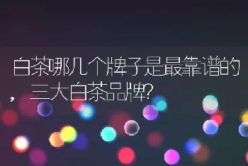 白茶哪几个牌子是最靠谱的