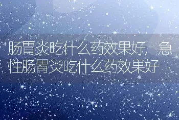 肠胃炎吃什么药效果好