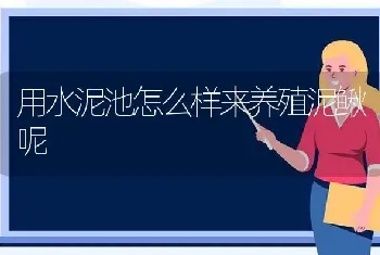 用水泥池怎么样来养殖泥鳅呢