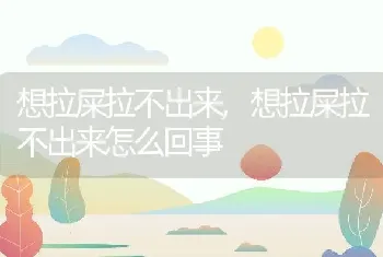 想拉屎拉不出来,想拉屎拉不出来怎么回事